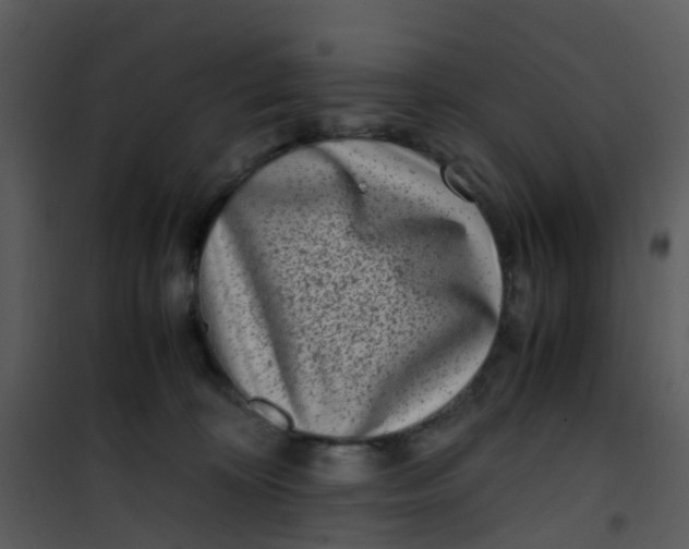 X0000101170324200807181429