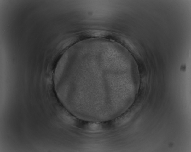 X0000101170325200807181429