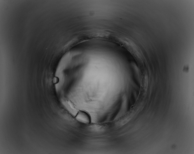 X0000101170326200807181429