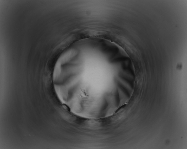 X0000101170327200807181429