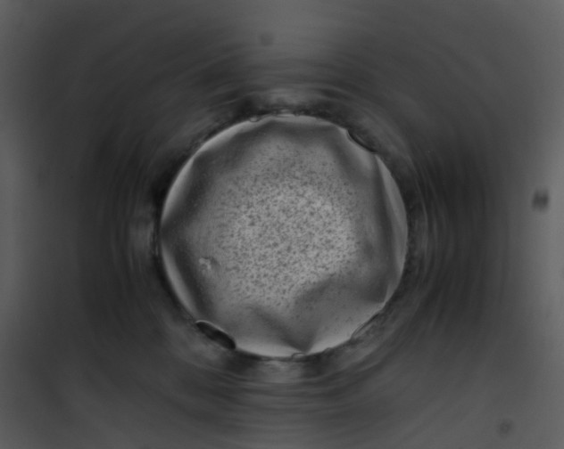 X0000101170328200807181429