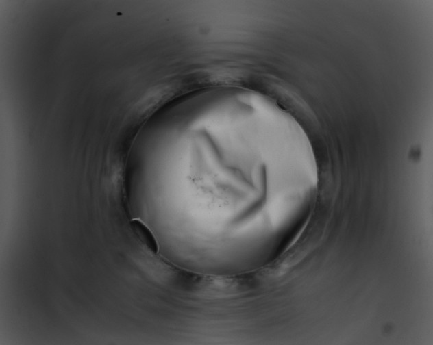 X0000101170329200807181429