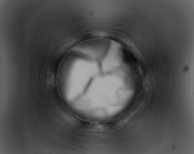 X0000101170330200807181429