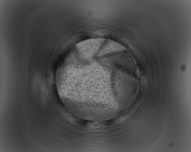 X0000101170331200807181429