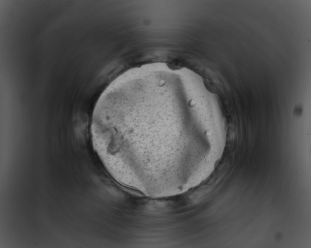 X0000101170332200807181429