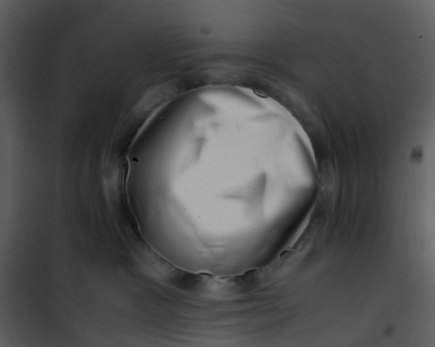 X0000101170333200807181429