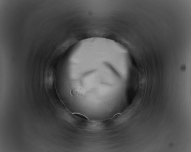 X0000101170334200807181429