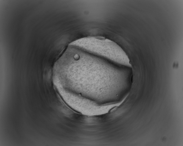 X0000101170336200807181429