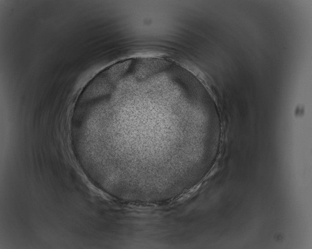 X0000101170337200807181428