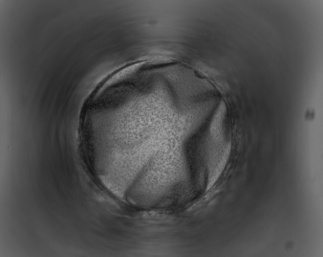 X0000101170338200807181428