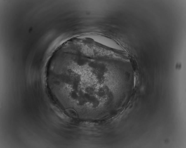 X0000101170339200807181428