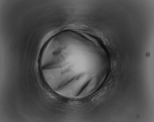 X0000101170340200807181428