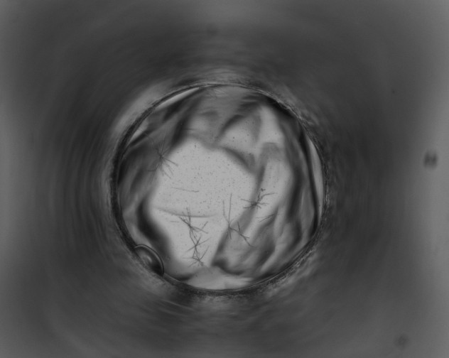 X0000101170341200807181428