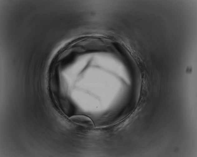 X0000101170342200807181428