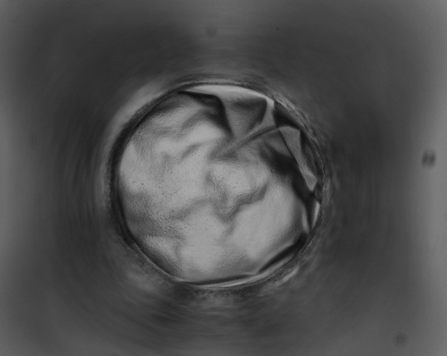 X0000101170343200807181428