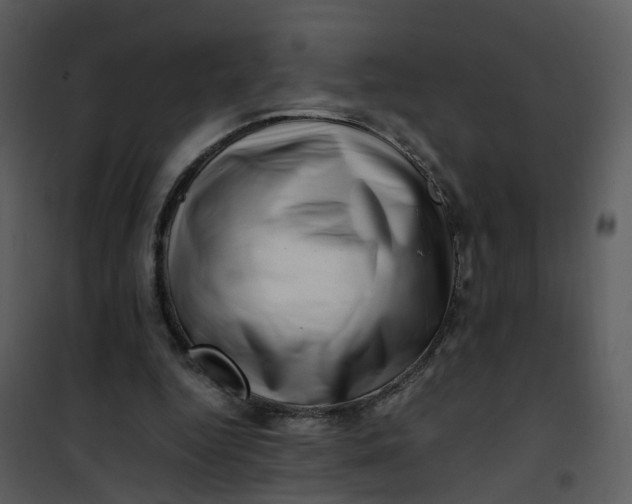 X0000101170344200807181428