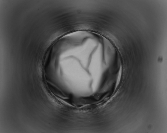 X0000101170345200807181429