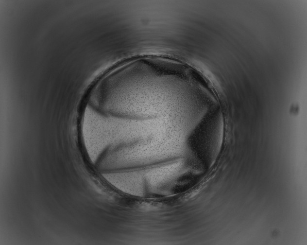 X0000101170346200807181429