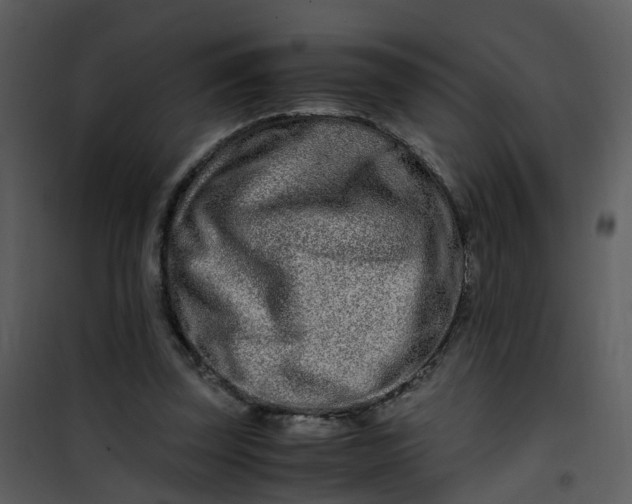 X0000101170347200807181429