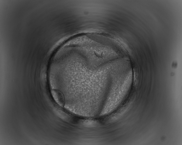 X0000101170348200807181429