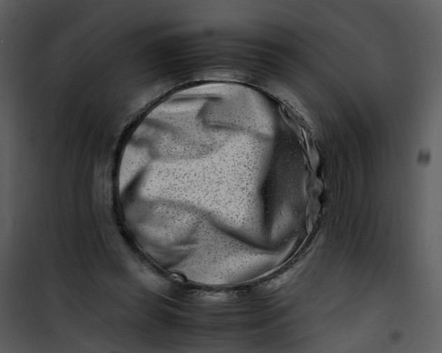 X0000101170349200807181429