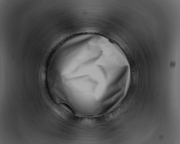 X0000101170350200807181429