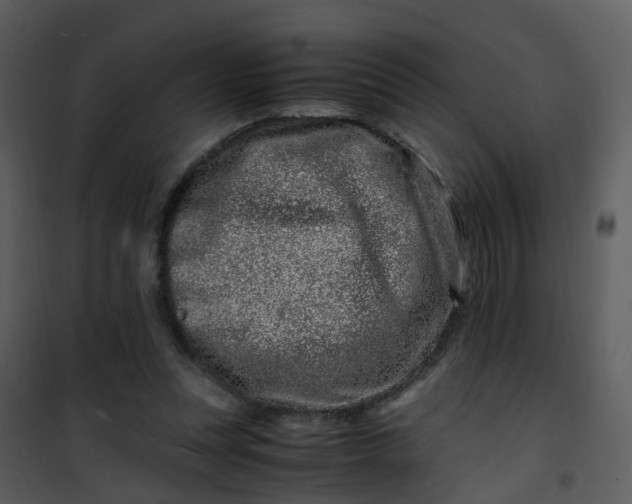 X0000101170351200807181429