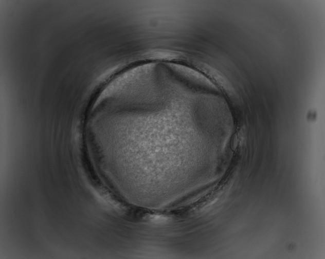 X0000101170352200807181429
