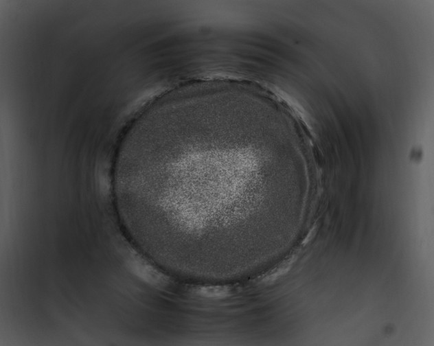 X0000101170353200807181429