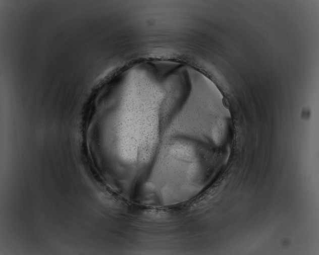 X0000101170354200807181429