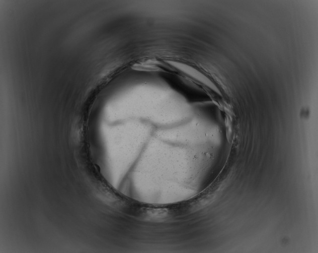 X0000101170355200807181429