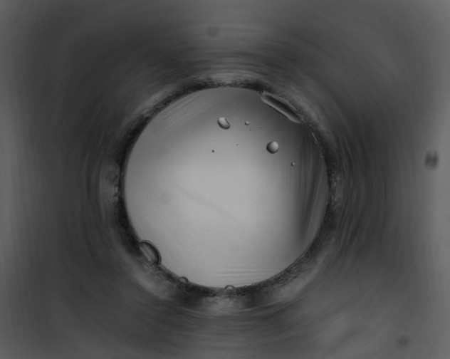X0000101170356200807181429