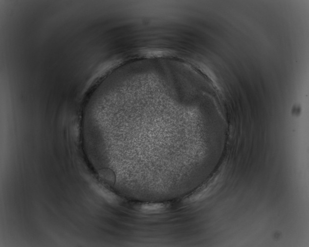 X0000101170357200807181429