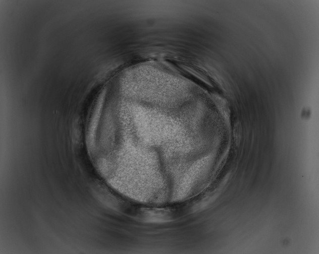 X0000101170359200807181429