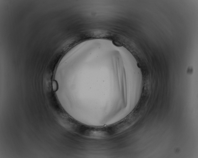 X0000101170360200807181429