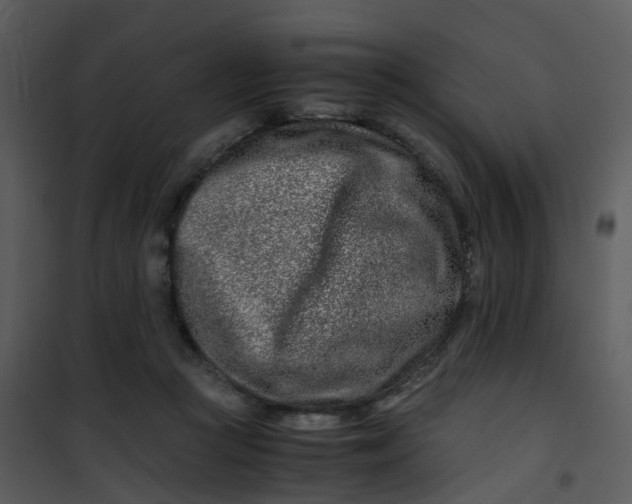 X0000101170361200807181429