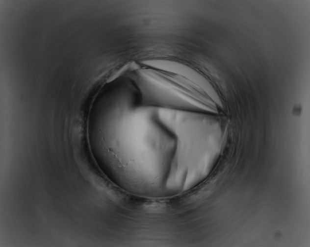 X0000101170362200807181429