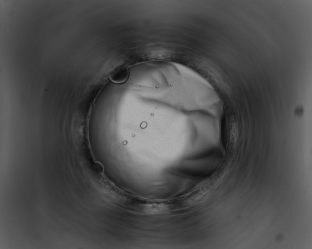 X0000101170363200807181429