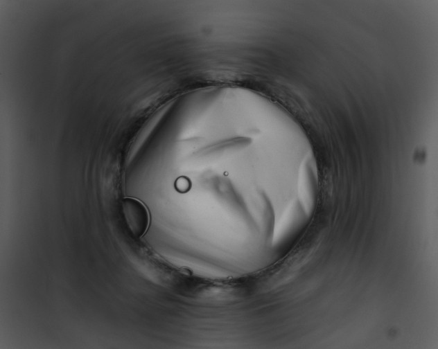 X0000101170364200807181429