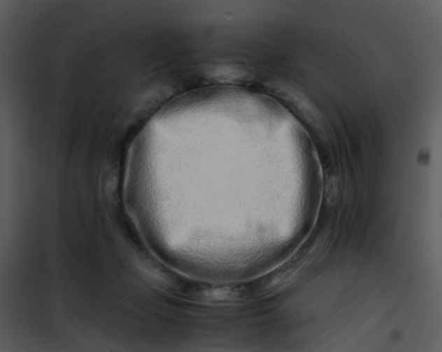 X0000101170365200807181429