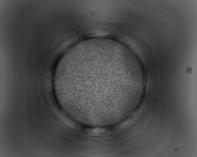 X0000101170366200807181429