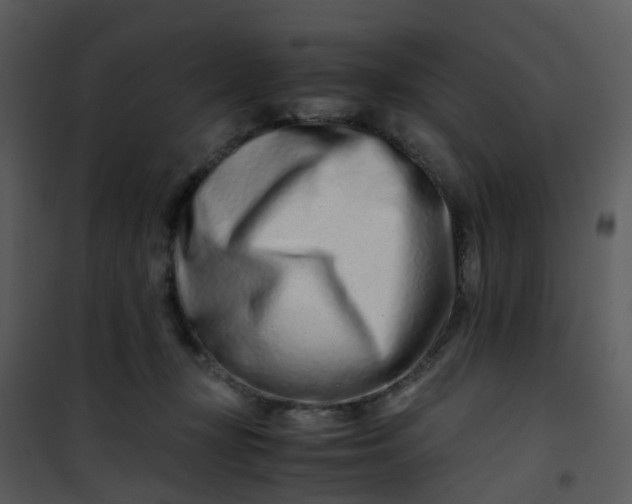 X0000101170367200807181429