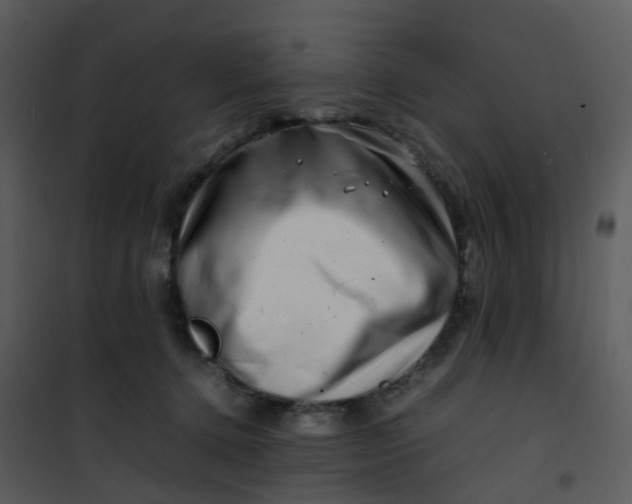X0000101170368200807181429
