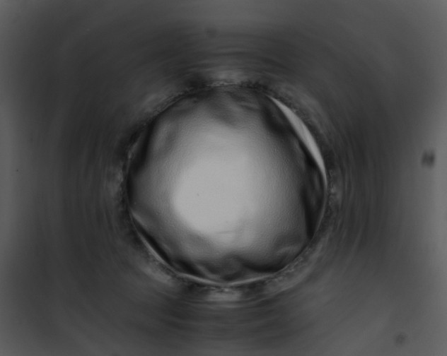 X0000101170369200807181429