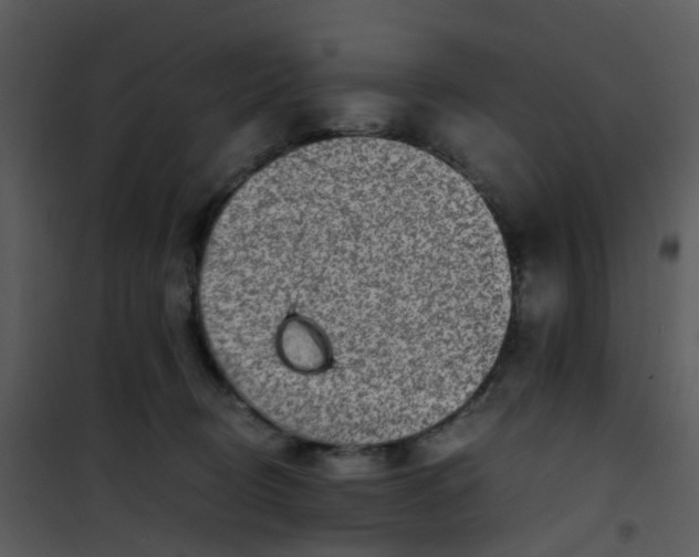 X0000101170370200807181429