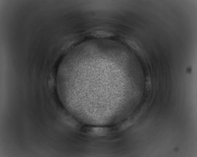 X0000101170371200807181429