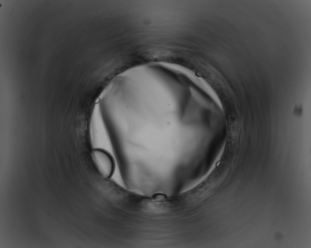 X0000101170372200807181429