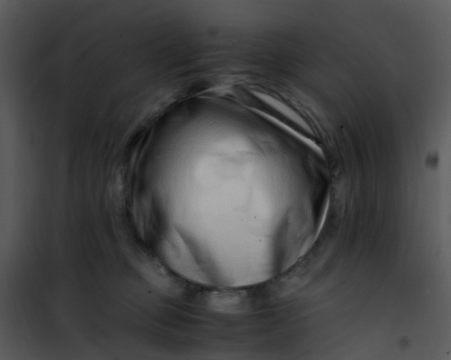 X0000101170373200807181429