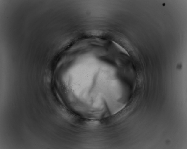 X0000101170374200807181429