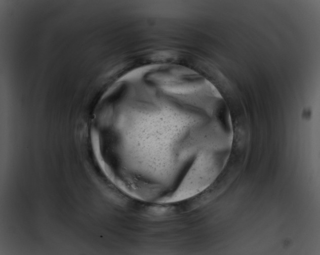 X0000101170375200807181429